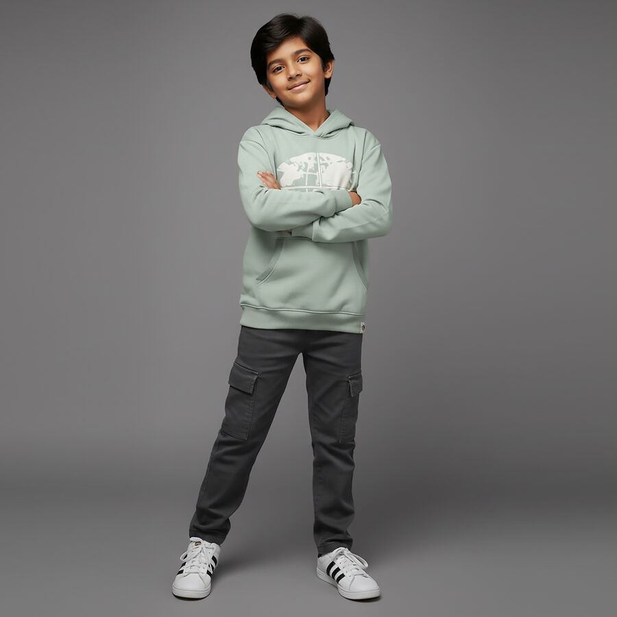 Boys Light Sage Green Hooded Casual Sweatshirt, हल्का हरा, large image number null