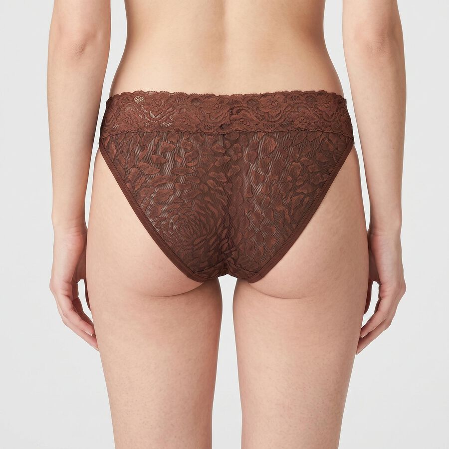 Women's Brown Regular Fit Lace Thong Panty, भूरा, large