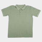 Boys' Sage Green Polo Neck Polo T-Shirt, हल्का हरा, small
