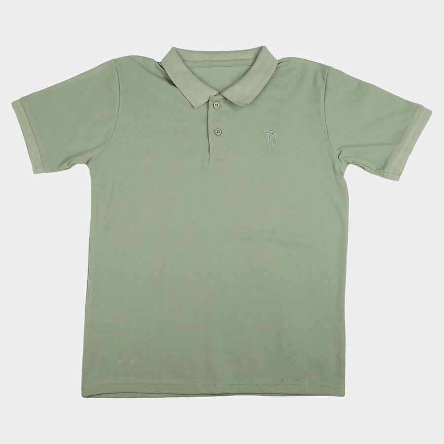 Boys' Sage Green Polo Neck Polo T-Shirt, हल्का हरा, large