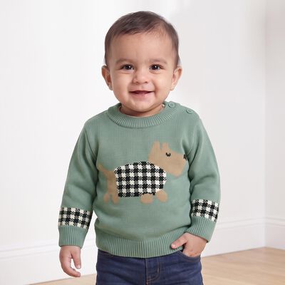 Infants Green Crew Neck Pullover