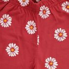 Girls' Maroon Regular Fit Daisy Floral Print Shorts, Pink, small