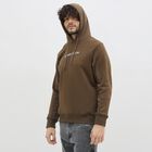 Men's Dark Brown Hooded Casual Sweatshirt, भूरा, small image number null