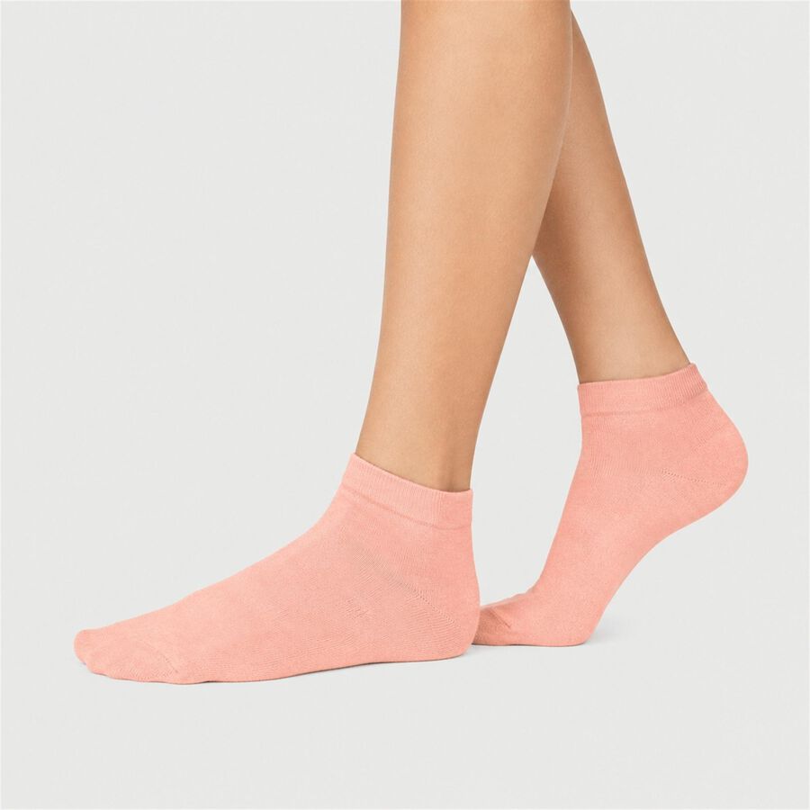 Women's Assorted Regular Fit Striped Pack of 3 Socks, Assorted, large