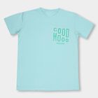 Boys' Light Aqua Blue Round Neck Casual T-Shirt, Aqua, small image number null