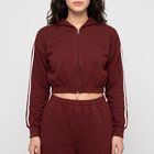 Women Maroon Hooded Track suit, वाइन, small