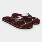 Women's Maroon Thong Strap Flip-Flops, मरून, small