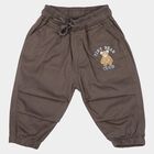 Infants Dark Grey Regular Fit Embroidered Jogger Trousers, गहरा ग्रे, small