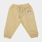 Infants Yellow Cotton Bear Print Pyjama, Yellow, small