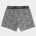 Boys' Light Grey Regular Fit Elasticated Waistband Briefs, हल्का ग्रे, small