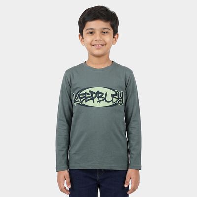 Boys Mid Blue Round Neck Regular Boys T-Shirt
