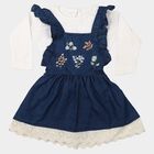 Infants' Navy Blue Fit and Flare Embroidered Ruffle Strap Frock, मध्यम नीला, small