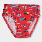 Boys' 100% Cotton Briefs, Light Blue, small image number null