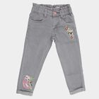 Girls' Light Grey Regular Fit Embroidered Jeans, Light Grey, small image number null
