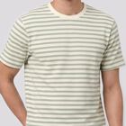 Men's Green Round Neck Striped Regular T-Shirt, हल्का हरा, small
