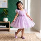 Girls' Lilac Fit and Flare Embellished Tulle Party Wear Frock, Lilac, small