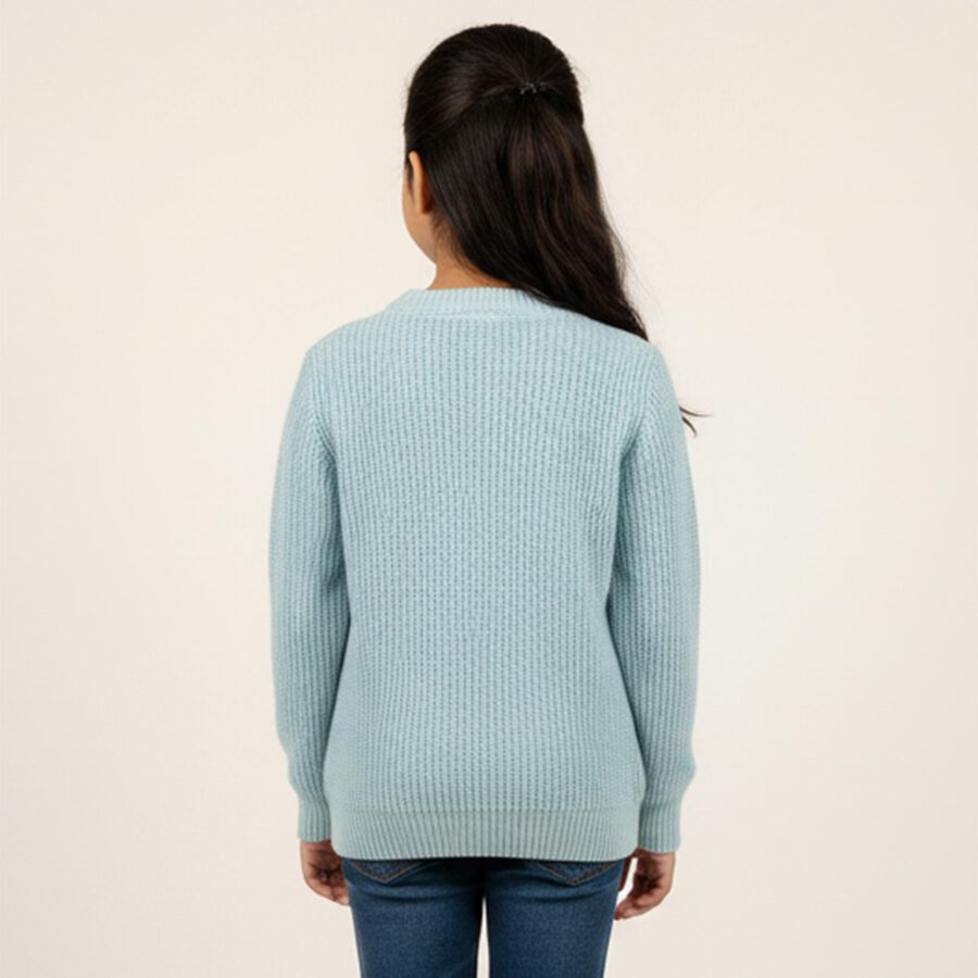 Girls Light Powder Blue Crew Neck Casual Pullover, Light Blue, large image number null