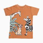 Boys Warm Terracotta Orange Cotton Round Neck Casual T-Shirt, Brown, small image number null