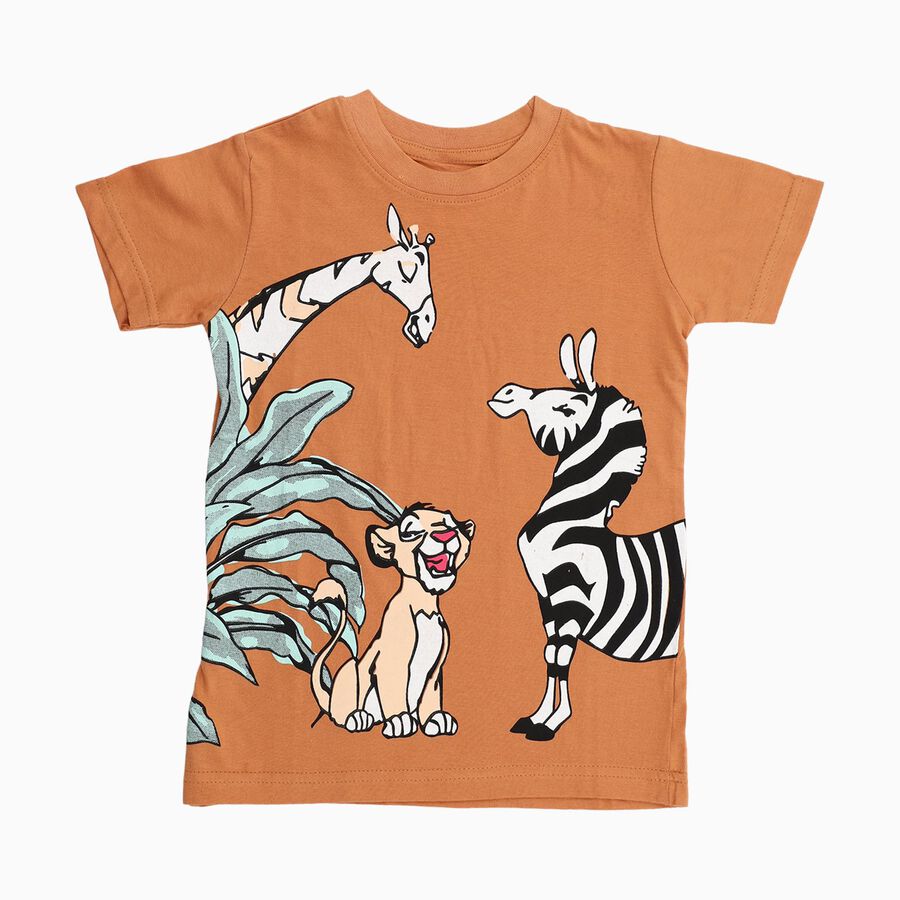 Boys Warm Terracotta Orange Cotton Round Neck Casual T-Shirt, Brown, large image number null