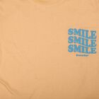 Boys Peach Crew Neck Regular Boys T-Shirt, पीच, small