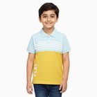 Boys Muted Mustard Green Cotton Round Neck Casual Half Sleeve T-Shirt, मस्टर्ड, small
