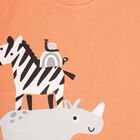 Infants Bright Orange Cotton Round Neck Casual T-Shirt, Orange, small image number null