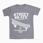 Boys Light Grey Round Neck Casual T-Shirt, Light Grey, small image number null