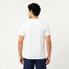 Men's White Round Neck Regular T-Shirt, सफ़ेद, small