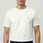 Men's White Round Neck Casual T-Shirt, White, small