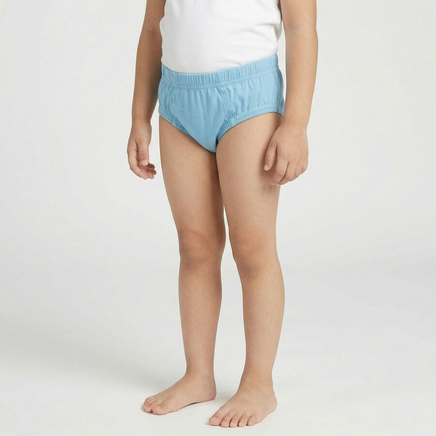 Boys Light Blue Regular Fit Solid Briefs, Light Blue, large