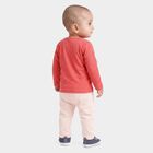 Infants Pink and Cream Cotton Round Neck Hipster Set, गुलाबी, small
