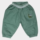 Infants' Green Regular Fit Dinosaur Embroidered Trousers, ओलिव, small