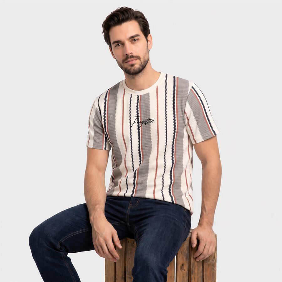 Men's White Round Neck Regular T-Shirt, White, large