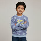 Boys Light Blue Crew Neck Casual Sweatshirt, Mid Blue, small image number null