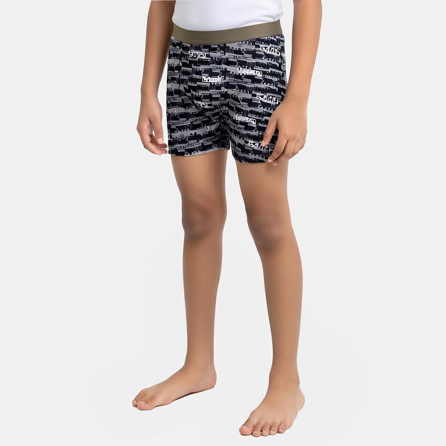 Boys' Grey Regular Fit Printed Briefs, हल्का ग्रे, large
