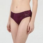 Women's Wine Regular Fit Lace Panel Panty, Wine, small