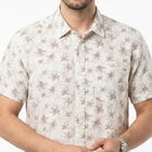 Men's Brown Cotton Spread Collar Regular Fit Shirt, Brown, small