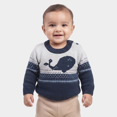 Infants' Navy Blue Crew Neck Knitted Pullover