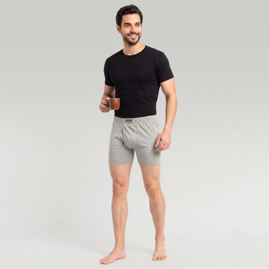 Men's Grey Regular Fit Solid Trunks, मिश्रित हल्का ग्रे, large