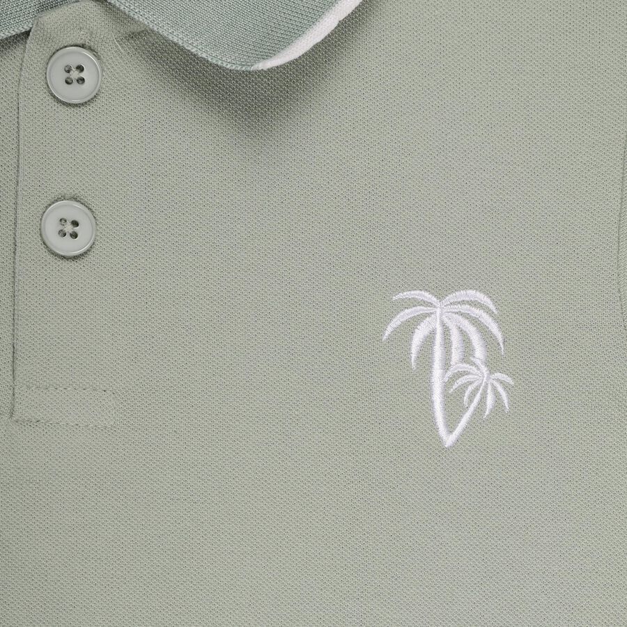 Boys' Light Sage Green Polo Neck Casual T-Shirt, Light Green, large