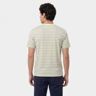 Men's Green Round Neck Striped Regular T-Shirt, हल्का हरा, small