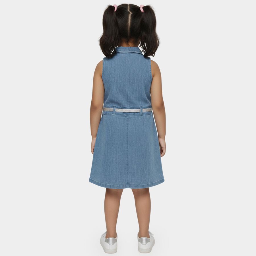 Girls' Blue Regular Fit Floral Patched Sleeveless Denim Frock, Light Blue, large