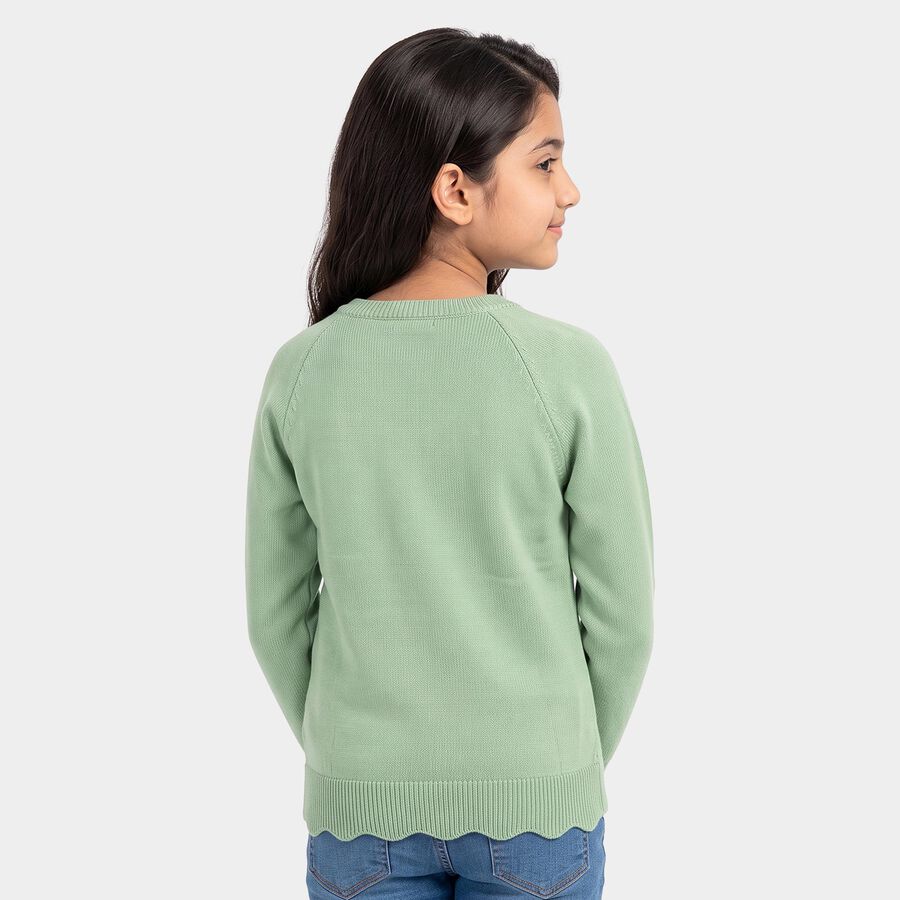 Girls' Sage Green Crew Neck Embellished Pullover, हल्का हरा, large