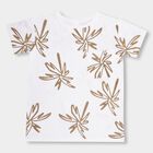 Boys' 100% Cotton Half Sleeves T-Shirt, White, small image number null
