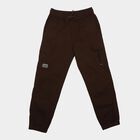 Boys' Brown Regular Fit Cargo Trousers, भूरा, small