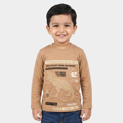 Boys Brown Crew Neck Regular Boys T-Shirt