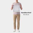 Men's Dark Grey Checked Pack of 3 Handkerchief, Dark Grey, small