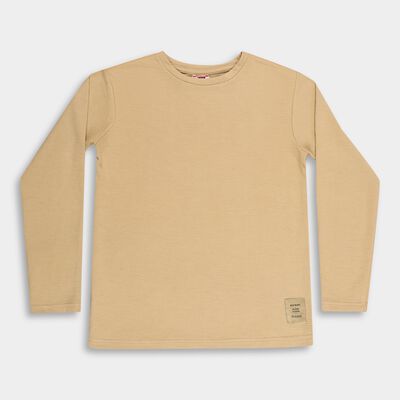 Boys Muted Beige Crew Neck Casual T-Shirt