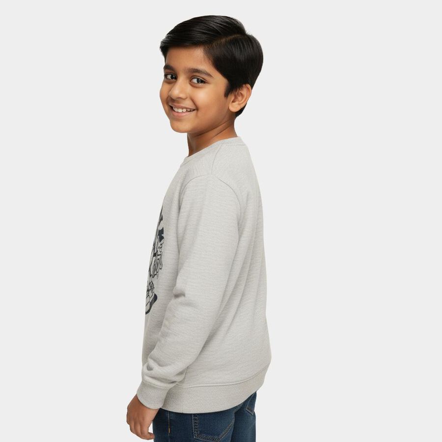 Boys Light Grey Crew Neck Graphic Sweatshirt, Ecru Melange, large