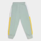 Boys' Muted Sage Green Regular Fit Cut And Sew Pyjama, Light Green, small image number null